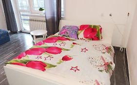 B&B Glinik 81